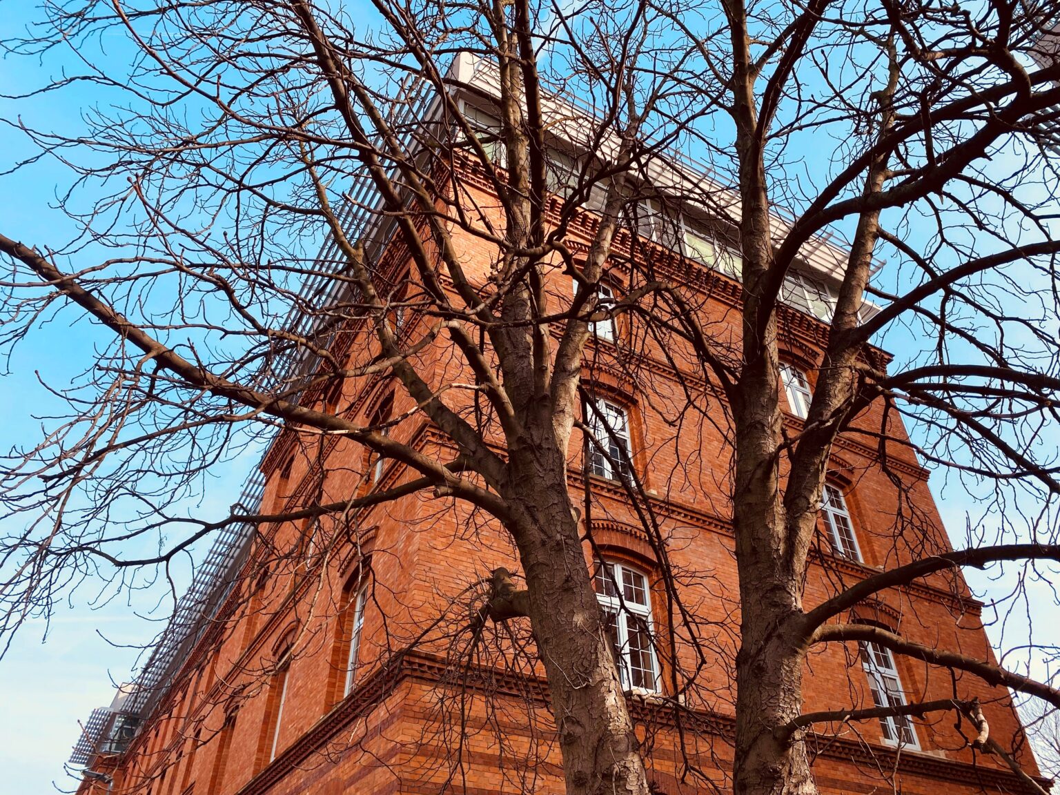 Ogłoszenie o publicznej obronie rozprawy doktorskiej – mgr inż. Anny Ślęzak
